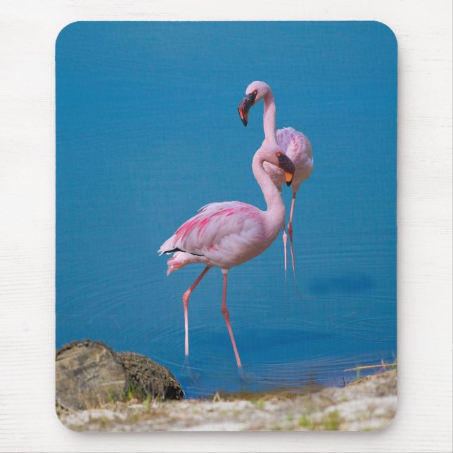 Mousepad Flamingos cor-de-rosa no lago (Frente)