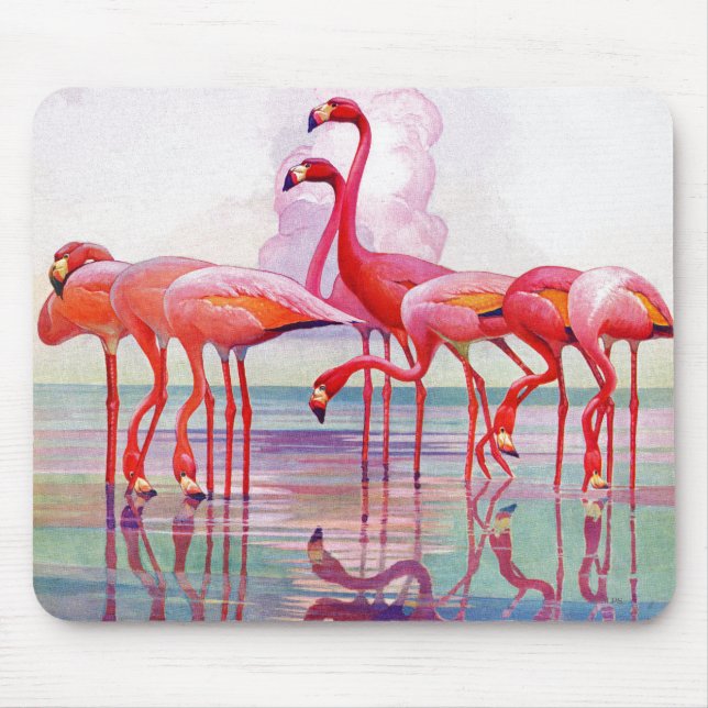 Mousepad Flamingos cor-de-rosa por Francis Lee Jaques (Frente)
