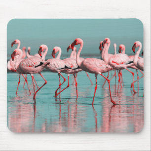 Mousepad flamingos selvagens africanos