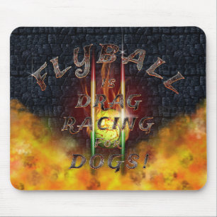Mousepad Flamz: Arrasto que compete para cães!