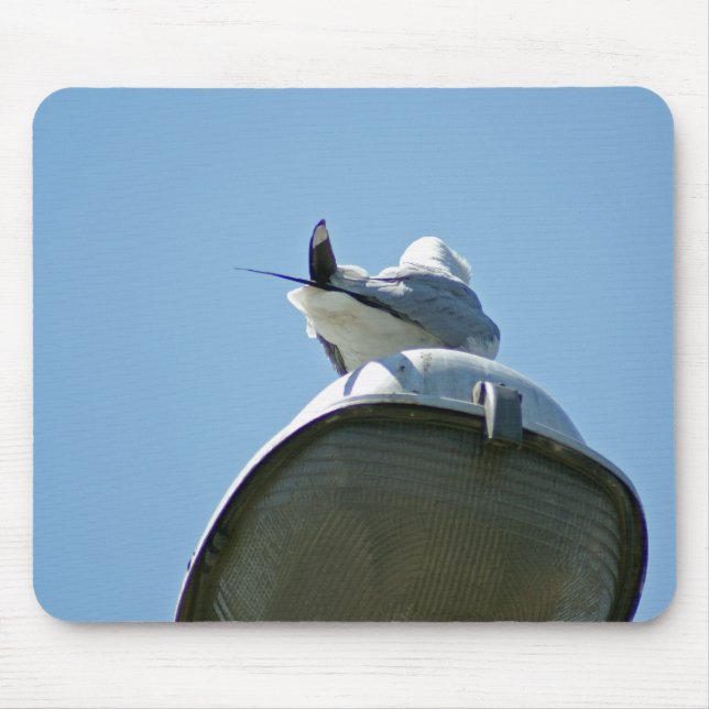 Mousepad Flickr DSC08615 (Frente)