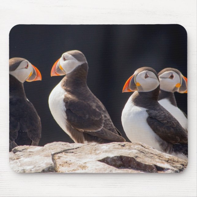Mousepad Flock of Puffins (Frente)