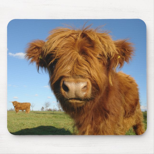 Mousepad Floffy Scottish Highland Cow - Blue Sky (Frente)