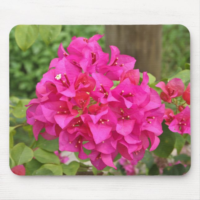 Mousepad Flor (Frente)