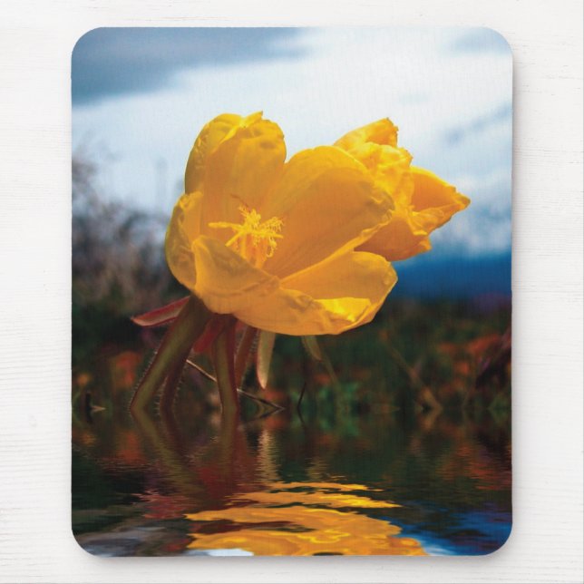 Mousepad Flor (Frente)
