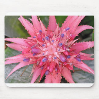 Mousepad flor