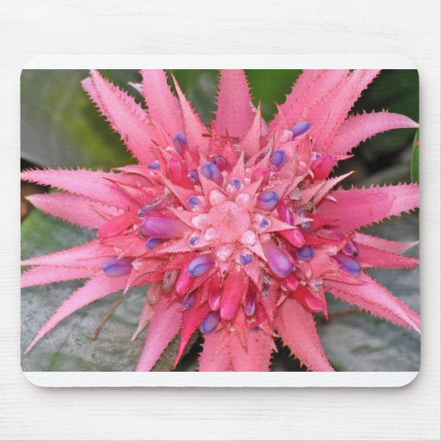 Mousepad flor (Frente)