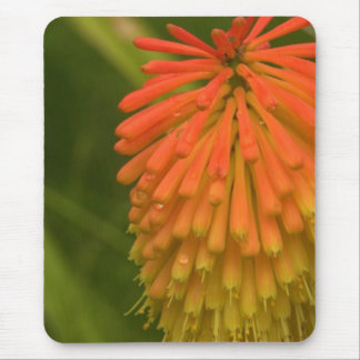 Mousepad Flor alaranjada