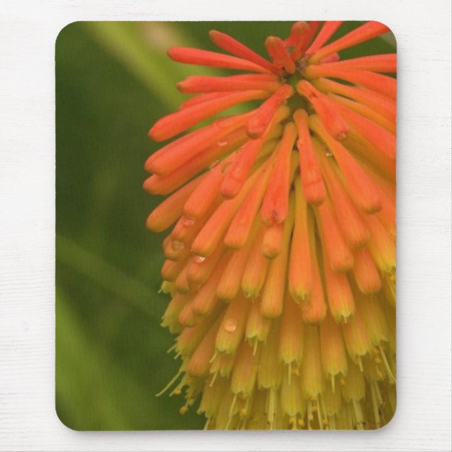 Mousepad Flor alaranjada (Frente)