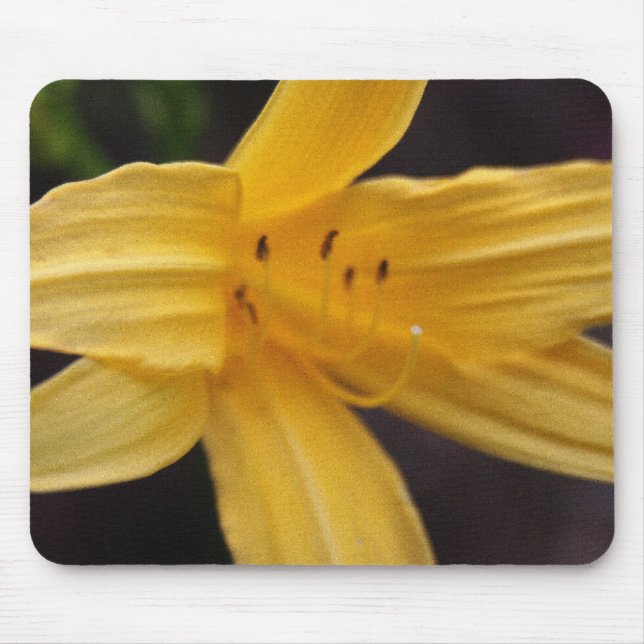 Mousepad flor amarela (Frente)
