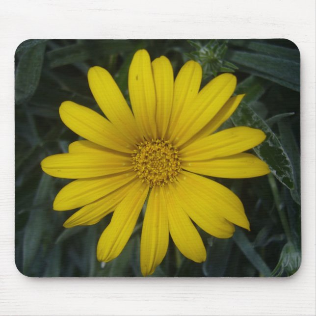 Mousepad flor amarela brilhante (Frente)