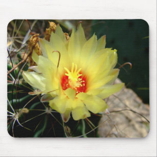 Mousepad Flor amarela do cacto do fishhook