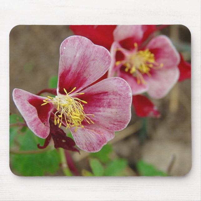 Mousepad Flor bonito (Frente)