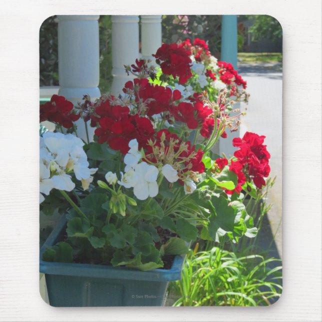 Mousepad Flor Box Geraniums - Martha's Vineyard (Frente)