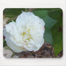 Mousepad flor branca hibiscus mutabilis