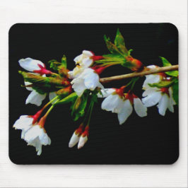 Mousepad Flor branco branco esbranquiçado florescente