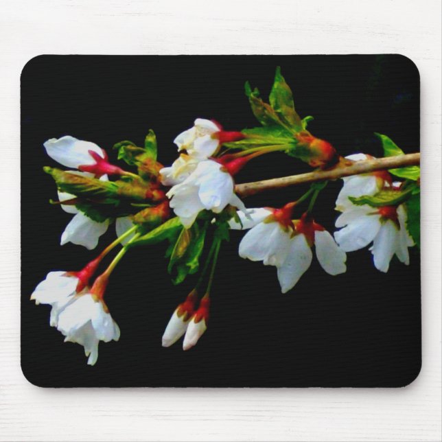 Mousepad Flor branco branco esbranquiçado florescente (Frente)