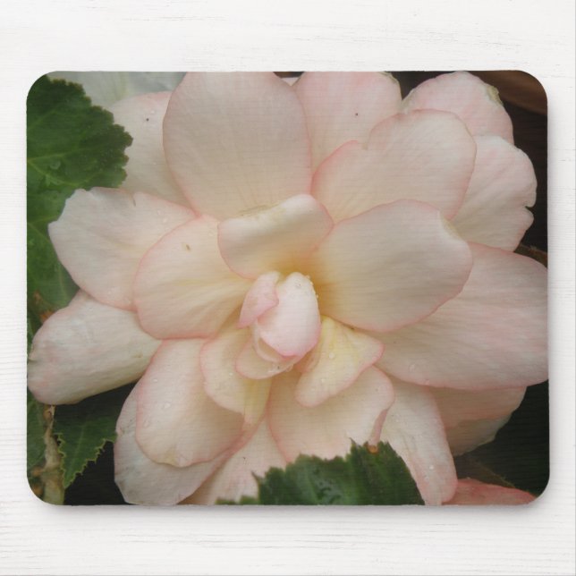 Mousepad Flor Branco Da Begônia (Frente)