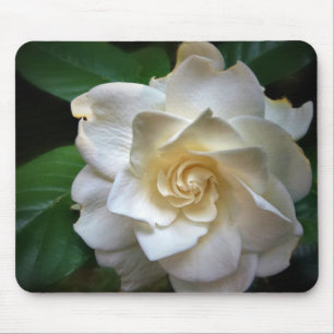 Mousepad Flor Branco Gardenia