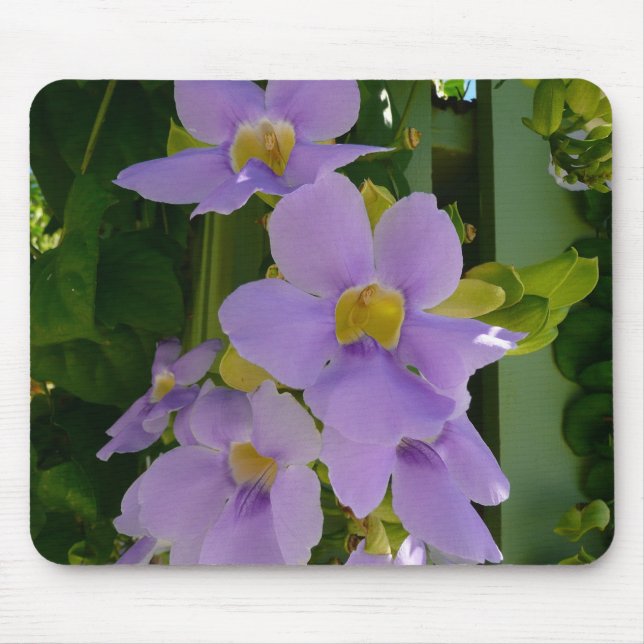 Mousepad Flor Céu Vinha Tropical Roxo Floral (Frente)