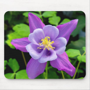 Mousepad Flor Columbina Roxo