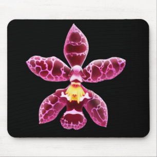 Mousepad Flor cor-de-rosa da orquídea de Wilsonara