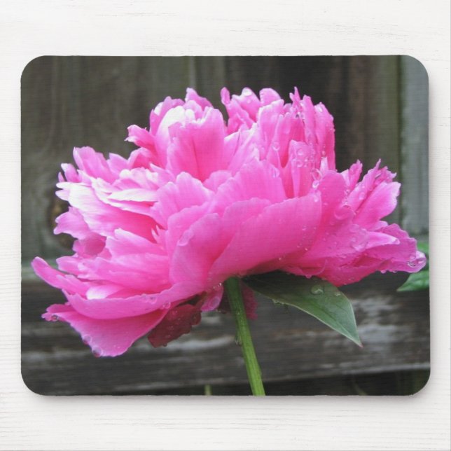 Mousepad Flor cor-de-rosa da peônia (Frente)