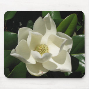 Mousepad Flor da magnólia