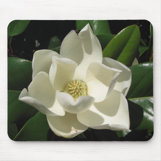Mousepad Flor da magnólia (Frente)