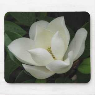 Mousepad Flor da magnólia