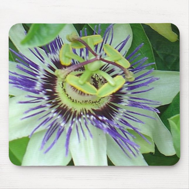 Mousepad Flor da Paixão (Frente)
