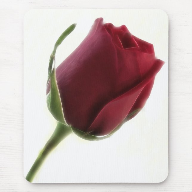 Mousepad Flor da rosa vermelha no branco (Frente)