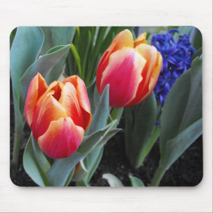 Mousepad Flor da Tulipa-Um do amor