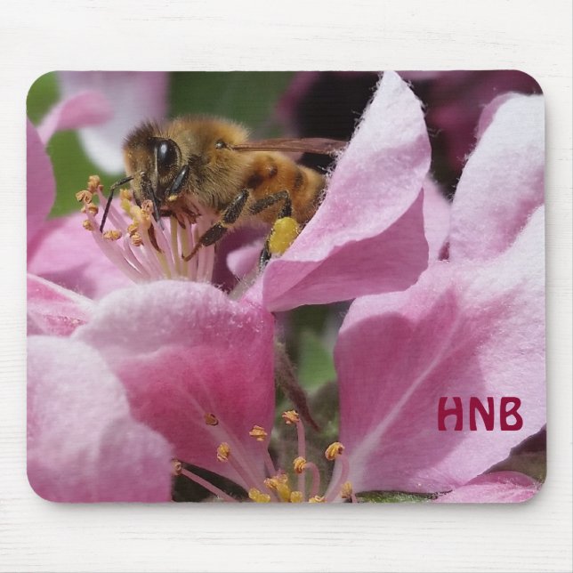 Mousepad Flor de abacaxi rosa polinizando mel (Frente)