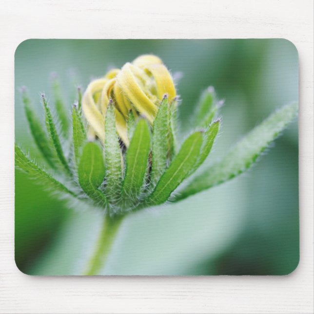 Mousepad Flor De Abertura Da Flor Cone (Frente)