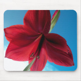 Mousepad Flor de Amarílis vermelha vibrante