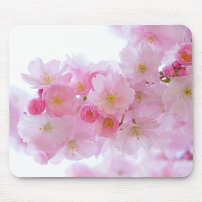 Mousepad Flor de árvore de cereja japonesa (Frente)