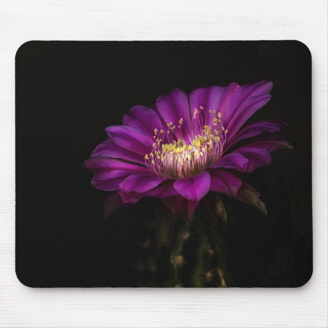 Mousepad Flor de Bolo Dramático (Frente)