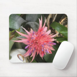 Mousepad Flor de Bromelia
