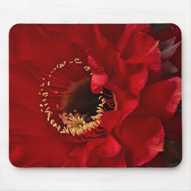 Mousepad Flor de cacto (Frente)