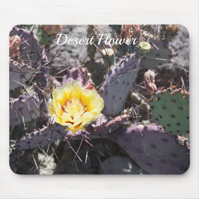 Mousepad Flor de cacto amarela na primavera (Frente)