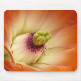 Mousepad Flor de Cactus Laranja