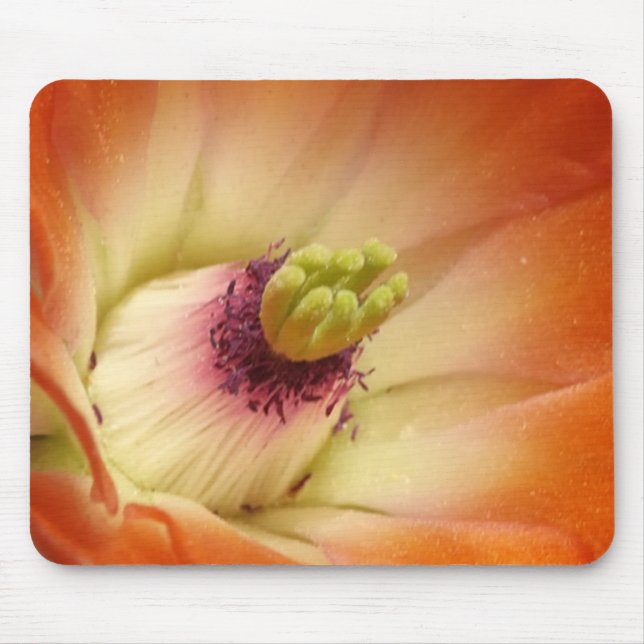 Mousepad Flor de Cactus Laranja (Frente)