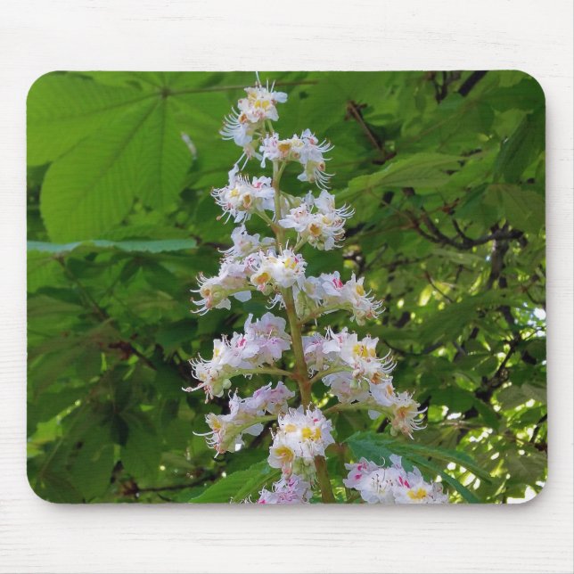Mousepad flor de castanha (Frente)