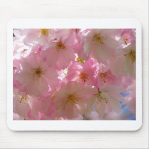 Mousepad Flor de Cereja Japonês