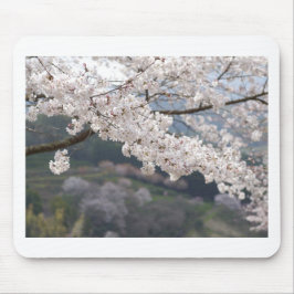 Mousepad Flor de Cereja Kumamoto no Japão
