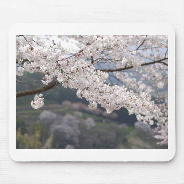 Mousepad Flor de Cereja Kumamoto no Japão (Frente)