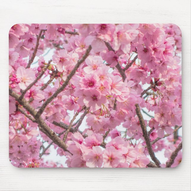 Mousepad Flor de Cereja Rosa (Frente)