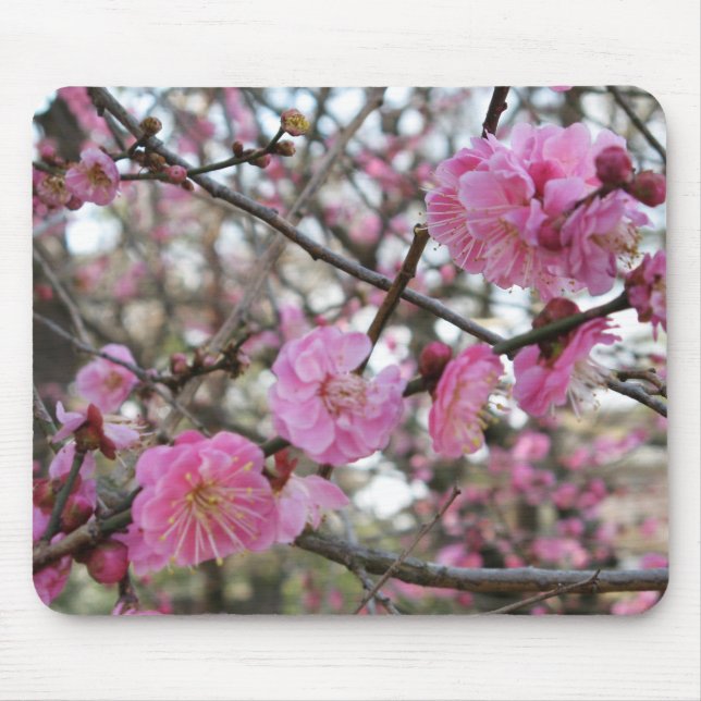 Mousepad Flor de cereja rosa / Sakura / サ ク ラ(桜) (Frente)