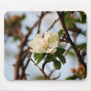 Mousepad Flor de Cerejeira